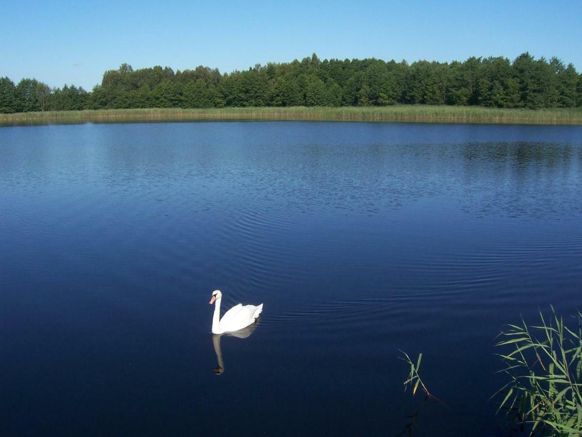 Domwigierski Pl -Jeziorki -Gr- Comfort-Ferienhaus-Polen - Wlasna Linia Brzegowa I Sauna Wysoki Most  Exteriér fotografie