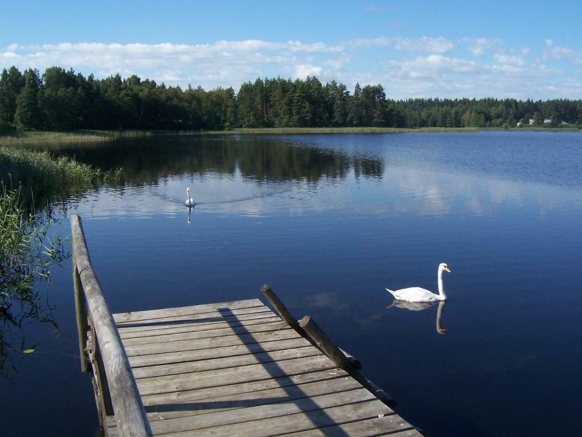 Domwigierski Pl -Jeziorki -Gr- Comfort-Ferienhaus-Polen - Wlasna Linia Brzegowa I Sauna Wysoki Most  Exteriér fotografie