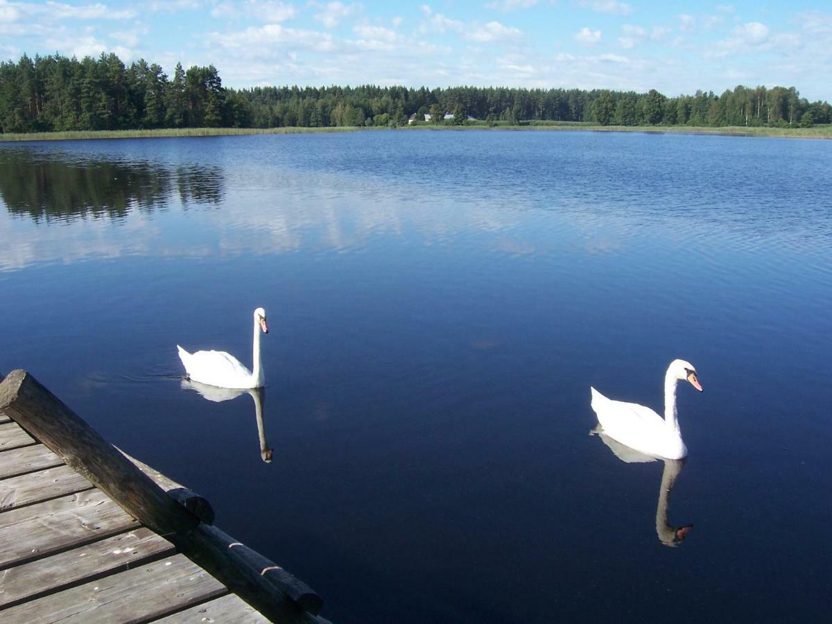 Domwigierski Pl -Jeziorki -Gr- Comfort-Ferienhaus-Polen - Wlasna Linia Brzegowa I Sauna Wysoki Most  Exteriér fotografie